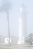 Pt Vicente Lighthouse