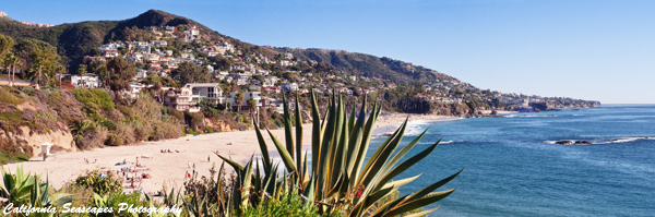 Laguna Beach View