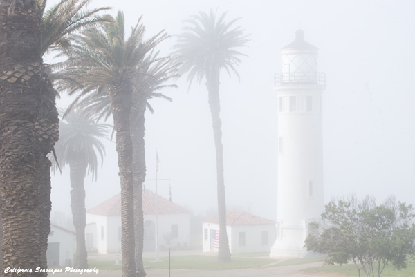 Pt Vicente Lighthouse Fog