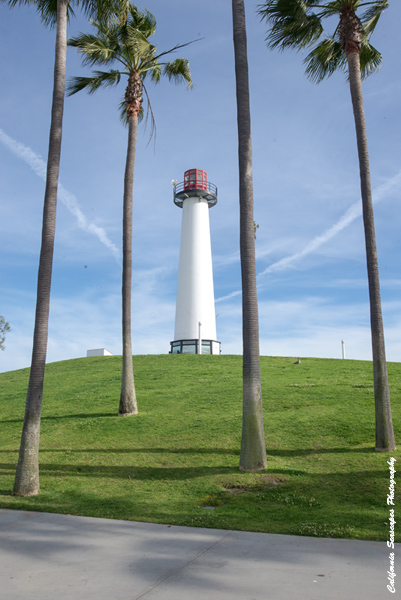Long Beach Lighthouse  and Palms 04