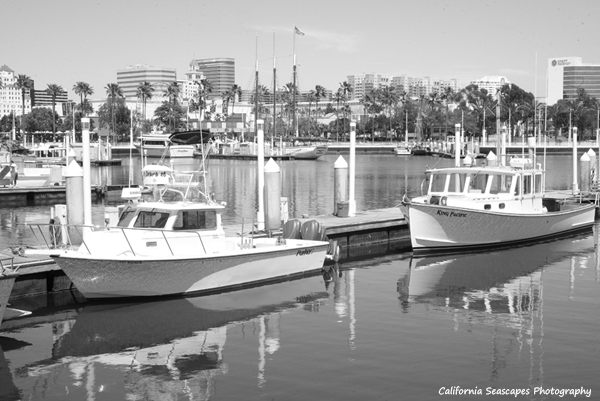 LB Harbor Boats