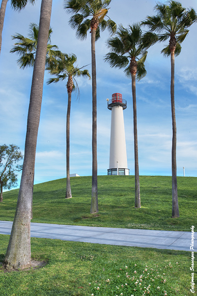 Long Beach Lighthouse  and Palms